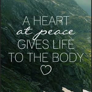 Meet your Posher, Bambie